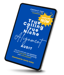 Alignment Audit Questionnaire